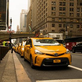 Yellow Taxi's van Maarten van Roozendaal