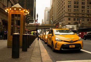 Yellow Taxis
