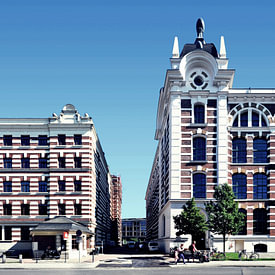 Panorama Streetline Profile picture
