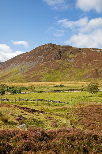 Invercauld Estate, near Braemar on Royal Deeside, Aberdeenshire