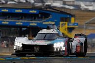 Peugeot @ Le Mans van Rick Kiewiet thumbnail