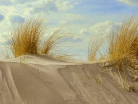 Momente von Vera Laake