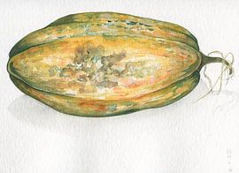 Squash van sarah Loecker