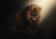 Lichtinval van een leeuw van Bert Hooijer thumbnail