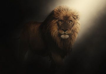 Lichtinval van een leeuw van Bert Hooijer