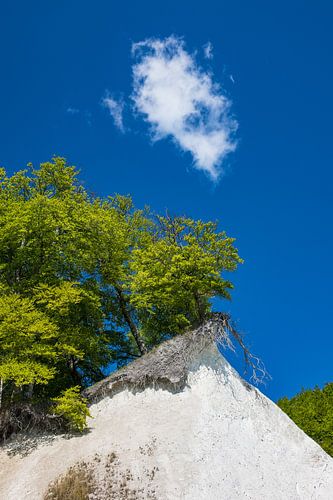 Ostseeküste auf der Insel Rügen