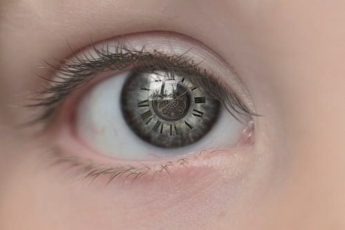 La beauté de l'éphémère : l'importance d'une vie finie