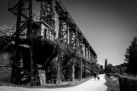 Mann mit Hund im Kontrast zur Architektur von Piet Spierings