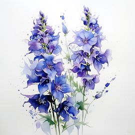 Flowering Larkspur