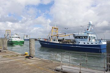 Austernfischer mit Ihren Schiffen bei Hörnum auf Sylt