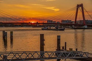 Zonsopkomst bij de Willemsbrug in Rotterdam van John Kreukniet