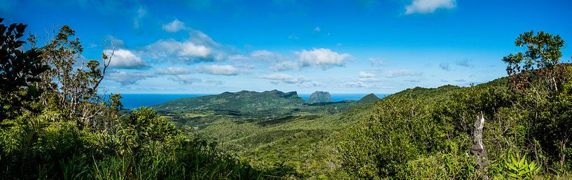 Panorama kust Chamarel, Mauritius van Danny Leij