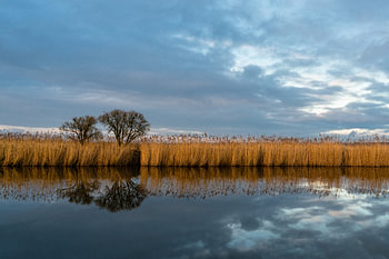 Oudejaarsdag