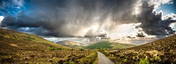 Zwischen den Hügeln von Cow Hill