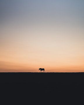 Paard bij zonsondergang van Ashwin wullems