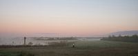 Early morning in the Bargerveen