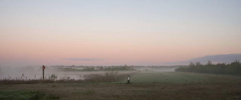 Vroeg in de ochtend in het Bargerveen van Miny'S