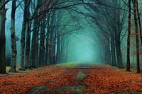 Herfst