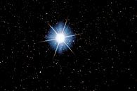 Stern Sirius - Alpha Canis Majoris von Monarch C. Miniaturansicht