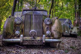 Rolls Royce von Henny Reumerman