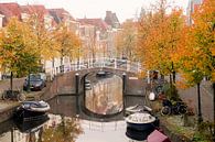 Leiden at its most beautiful by Dirk van Egmond thumbnail