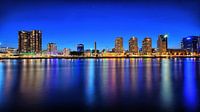 skyline Rotterdam van Roy Vermelis thumbnail