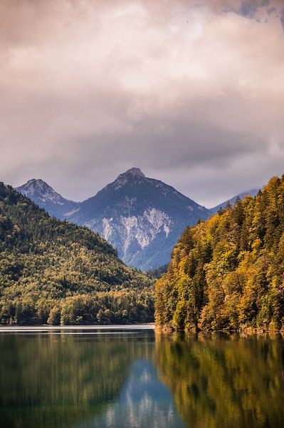 Der Blick auf Schwangau von Inge Jansen