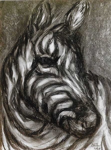 Nieuwsgierige zebra. van Ineke de Rijk