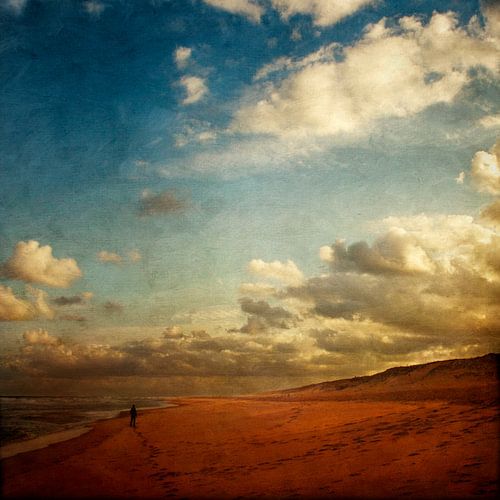 Beach walk in the morning