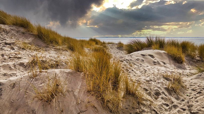 Dunes &amp; Clouds by Harry Hadders Design