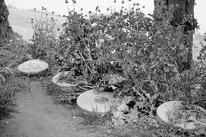 Die Treppe zum Fluss