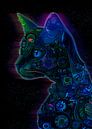 katten van irvan halim thumbnail
