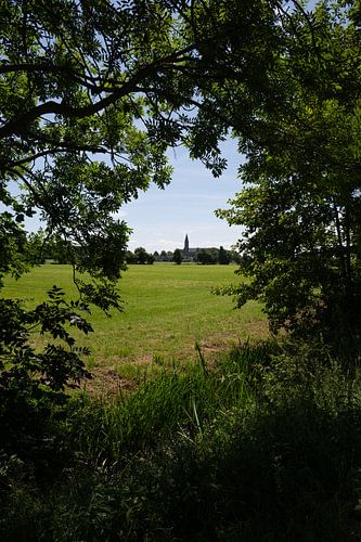 Zicht op Vogelenzang