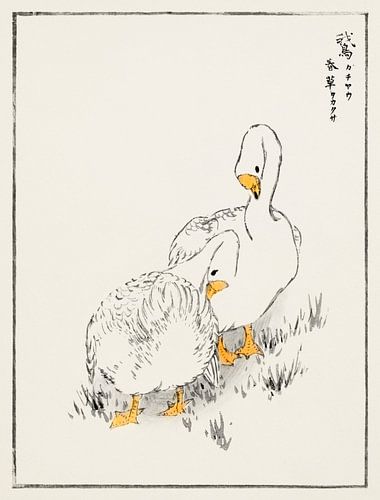 Duck and Young Grass-illustratie door Numata Kashu