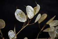 Licht in der Dunkelheit