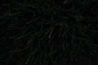 Donker takje - detail natuurfotografie groen print