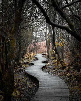 Winding through the Moerputten