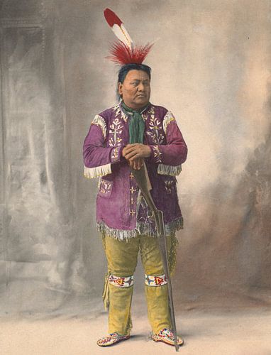 Portraits historiques d'Indiens d'Amérique