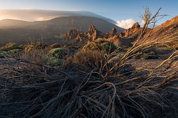 Llano de Ucanca (Tenerife) van Niko Kersting