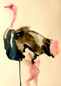 Des plumes avec de la verve