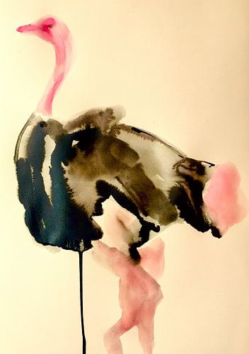 Des plumes avec de la verve