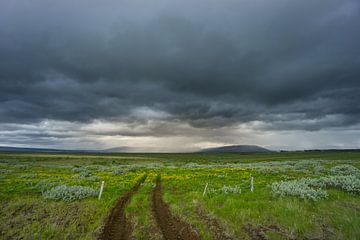 Islande - Une route vers nulle part avec des conditions météorologiques extrêmes et des orages sur adventure-photos