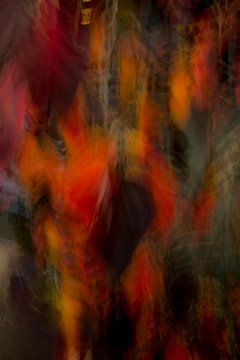 Imagination of colours  van AnyTiff (Tiffany Peters)