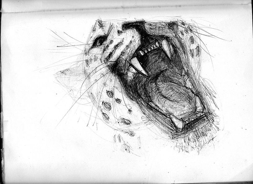 PANTER BITE by Vincent Jacobs