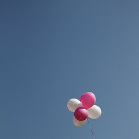 Zomerse Hoogtes van Simon Claassen