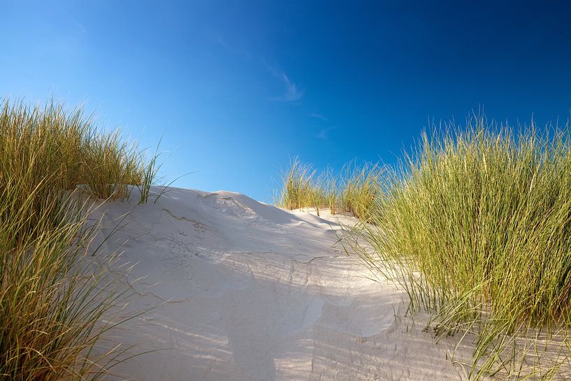 Dune by Bo Valentino