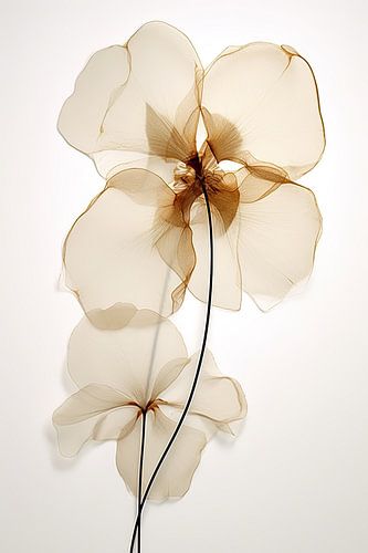 Doorzichtige bloemen