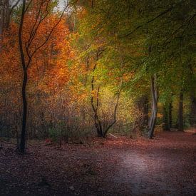 Herfstkleuren van Erwin Stevens
