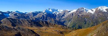 Herfstgroep Glockner van Christa Kramer