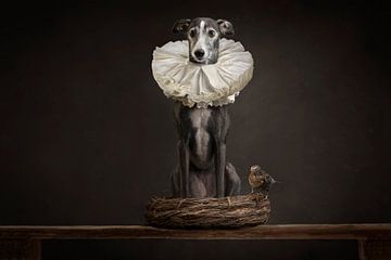 Royal dog by Nuelle Flipse